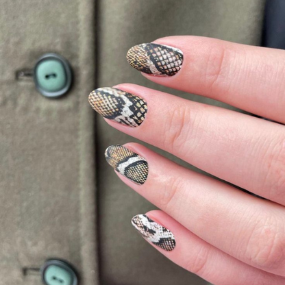 Snake Skin